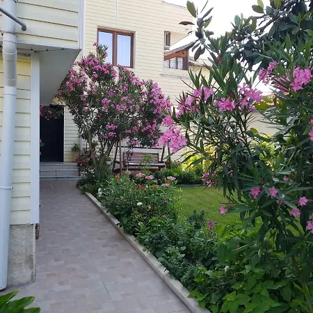 Vladimirov 2* Primorsko